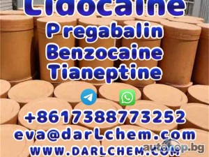 Lidocaine Tianeptine pregabalin raw Powder 137-58-6 Factory Direct