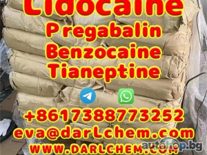 Lidocaine Tianeptine pregabalin raw Powder 137-58-6 Good Price