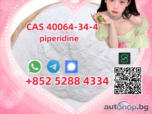 Manufacturer Supply High Quality CAS 40064-34-4 piperidine on Sale