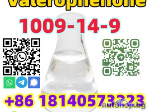 Manufacturer Valerophenone Cas 1009-14-9 good quality safety shipping