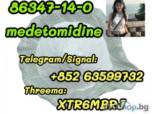 Medetomidine Cas 86347-14-0 with reliable manufacture