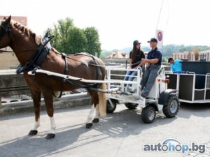 Mild Horse Hybrid