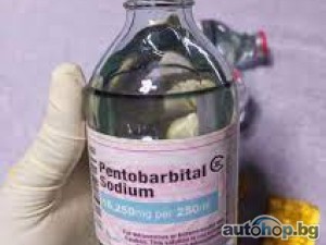 Nembutal Sodium, LSD, Rohypnol Flunitrazepam 1mg, 2mg, Caluanie Mueclear Oxidize PURE Fentanyl ,Cocaine, Ketamine MDMA, Oxycontin , Roxycodone, Adderall, Benzos Pure Alprazolam Powder 4-MMC Mephedrone Rohypnol