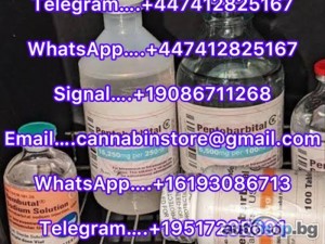 online,Buy Pentobarbital sodium ,Buy injectable Nembutal,Nembutal