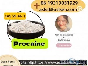 Popular Global Quality Procaine CAS Number 59-46-1