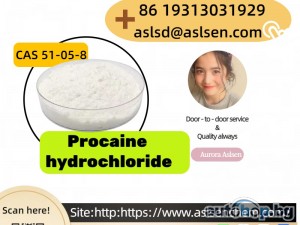 Popular Global Quality Procaine hydrochloride CAS 51-05-8