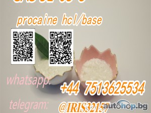 Powder Hydrochloride Procaina CAS 51-05-8