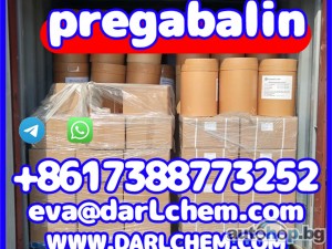 Pregabalin Powder. 99.99% white powder High Purity