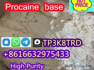 PROCAINE CAS 59-46-1 /51-05-8 Manufacturer Supply