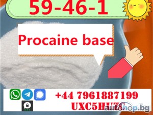 Procaine cas 59-46-1 Procaine base cas 51-05-8 powder china factory direct sale