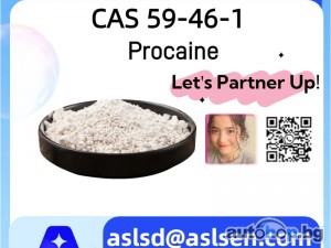 Procaine CAS Number: 59-46-1