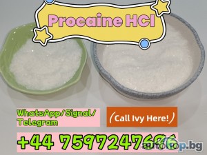 Procaine hcl powder cas 51-05-8 procaine powder