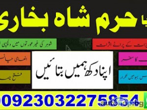 real amil baba world famous kala jadu expert - black spell uk