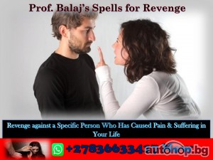 Revenge Spells to Target and Ruin an Individual’s Life Successfully +27836633417