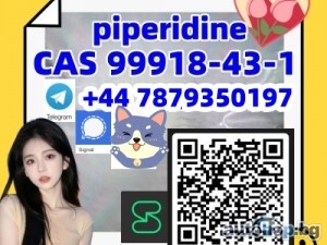 Sell high quality CAS 99918-43-1 (piperidine