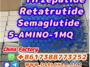 Semaglutide 5-AMINO-1MQ Retatrutide 910463-68-2 Factory