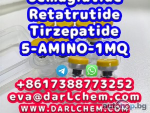 Semaglutide 5-AMINO-1MQ Retatrutide 910463-68-2 Raw Powder