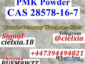 Signal +8613297085733 Safe Delivery CAS 28578-16-7 PMK Ethyl Glycidate CAS 2503-44-8 New Pmk Oil