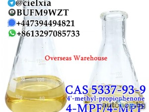 Signal@cielxia.18 Pharmaceutical Intermediate 4-MPF/4-MPP 4'-Methylpropiophenone CAS 5337-93-9