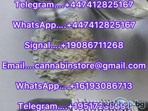 SODIUM AND PHENYTOIN SODIUM EUTHANASIA SOLUTION, NEMBUTAL POWDER