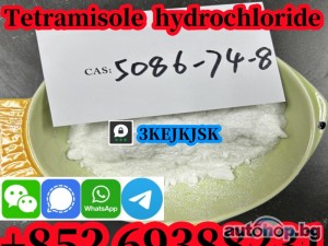 Tetramisole hydrochloride powder Cas 5086-74-8 quality guaranteed best service