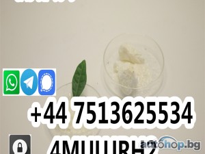 Wholesale CAS 51-05-8 Powder price