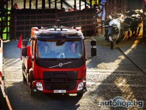 Бикове преследват Volvo FL