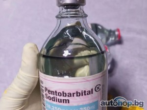 +Нембутал, пентобарбитал, ксанакс, оксиконтин, ибога, роксикодон, 4mec, MDMA