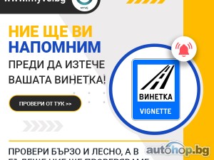 Онлайн проверка винетка