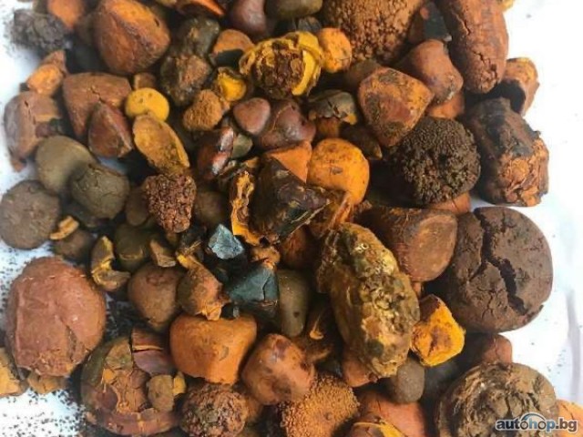 2024 ARO IMS Whatsapp +237651673431/ Buy/sale top Quality Ox Cattle Gallstones Online. Email : jordanchapman20@gmail.com