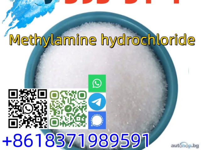 2024 Austin Healey Sprite 593-51-1 Methylamine hydrochloride with best price