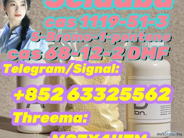 5-Bromo-1-pentene CAS 1119-51-3 100% past customs safe delivery high quality
