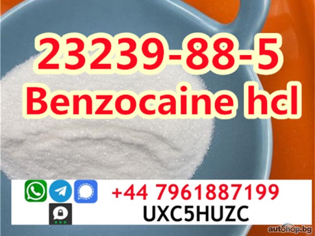 Benzocaine HCL CAS 23239-88-5 vendor Safe Customs Clearance