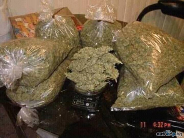 Buy Cannabis at the Best Online Dispensary, Signal: +237679774145