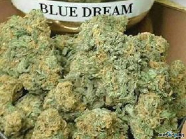 BUY Cannabis Flower Online Dispensary ONLINE Signal: +237679774145