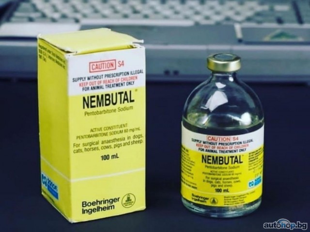 BUY NEMBUTAL ONLINE ,BUY PENTOBARBITAL SODIUM, BUY INJECT