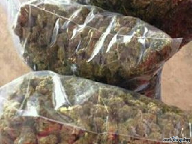 BUY Weed and Cannabis Dispensary Delivery THC & CBD Signal: +237679774145