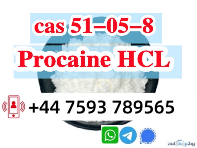 cas 51-05-8 Procaine Hcl Procaine Hydrochloride large stock