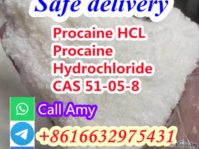 Cas 51-05-8 procaine hydrochloride factory direct sale