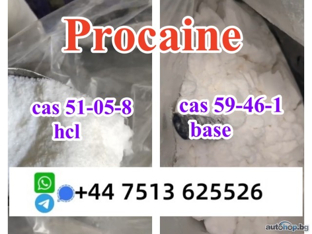 cas 59-46-1 Procaine base powder Procaine Hcl safe ship to Holland Poland