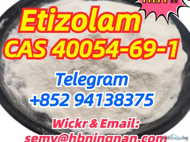 Etizolam cas 40054-69-1