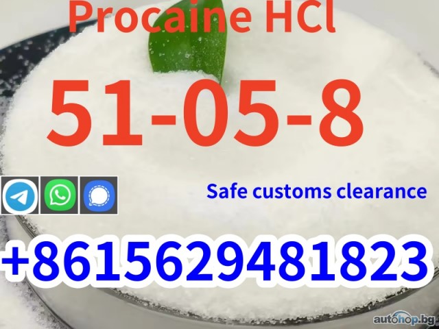 High purity cas 51-05-8 procaine Hcl hydrochloride global shipping