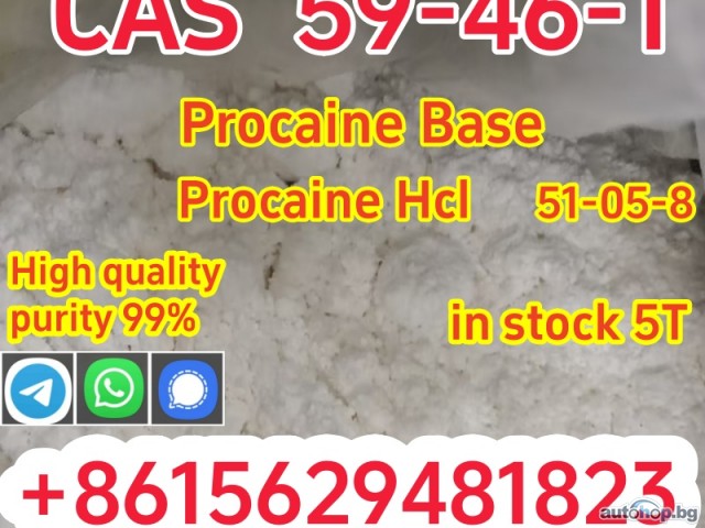 High quality cas 59-46-1 procaine base powder safely delivered to your door