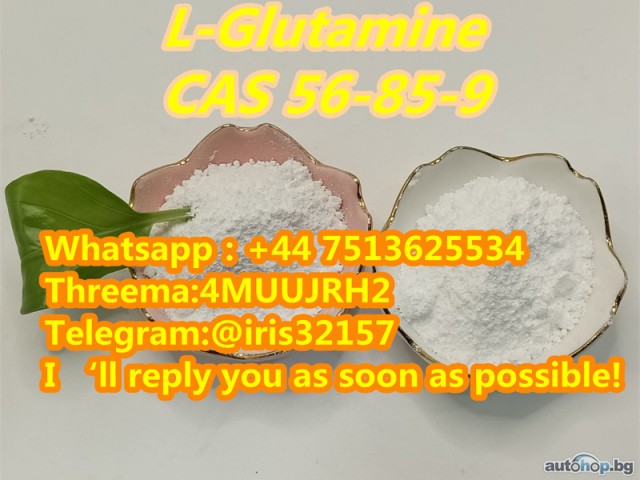 L-Glutamine Powder in stock high purity