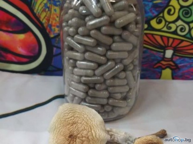 Magic Mushrooms, Ketamine, DMT , LSD , Psilocybin Edibles Online.100% guaranteed delivery