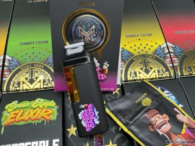 2024 Bristol Blenheim