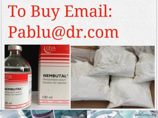 Nembutal Pentobarbital To Buy email: Pablu@dr.com