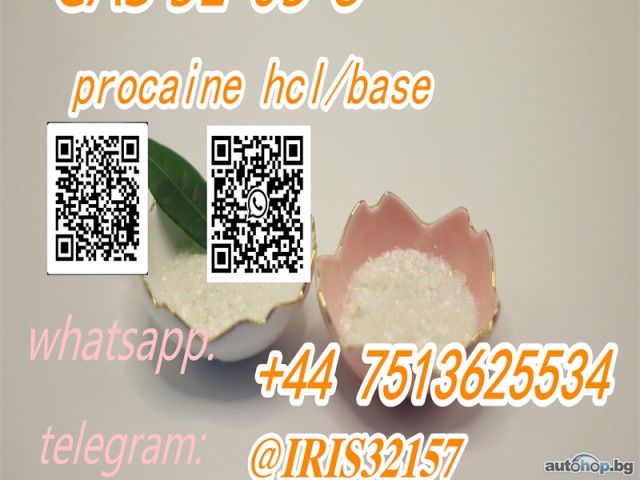 Powder Hydrochloride Procaina CAS 51-05-8