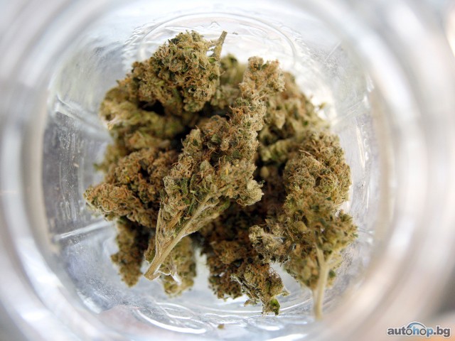 Powerful Weed/Cannabis