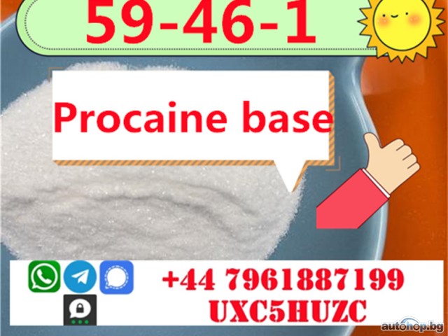 Procaine cas 59-46-1 Procaine base cas 51-05-8 powder china factory direct sale